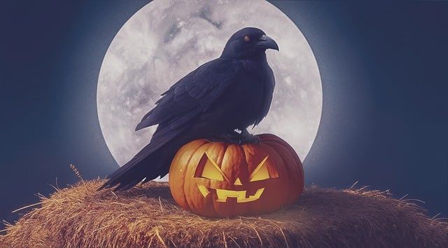 Crow And Pumpkin Pictures, Photos, and Images for Facebook, Tumblr