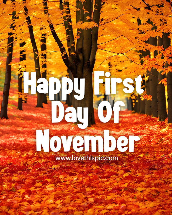 Autumn Forest Happy First Day Of November 2023 Pictures, Photos, and
