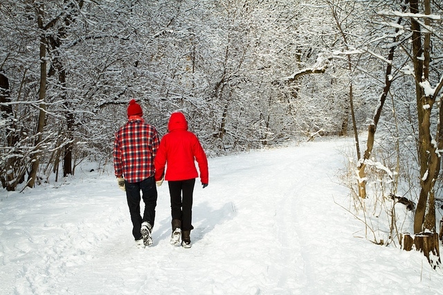 Couple in the snow Couple in the snow