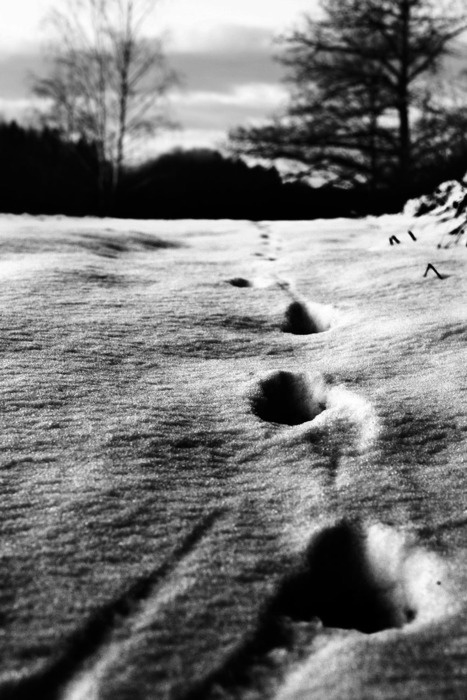 Snowy footprints