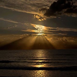 Golden Glory!!