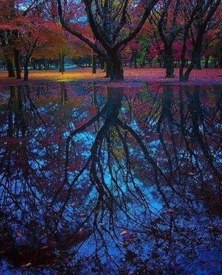 Reflections Of Autumn In Japan!! 