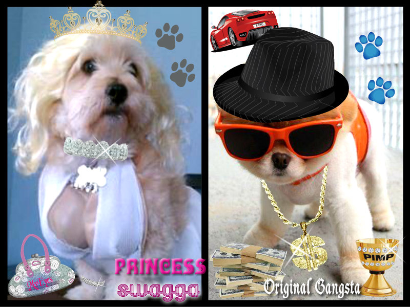 "Who Let The Dogs Out??"      :D