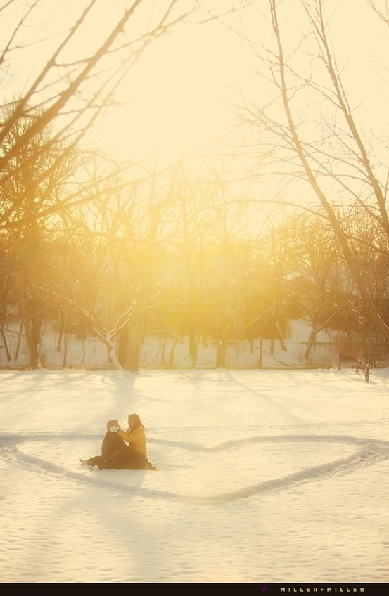 Together in the sunlight Together in the sunlight