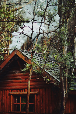 Log cabin