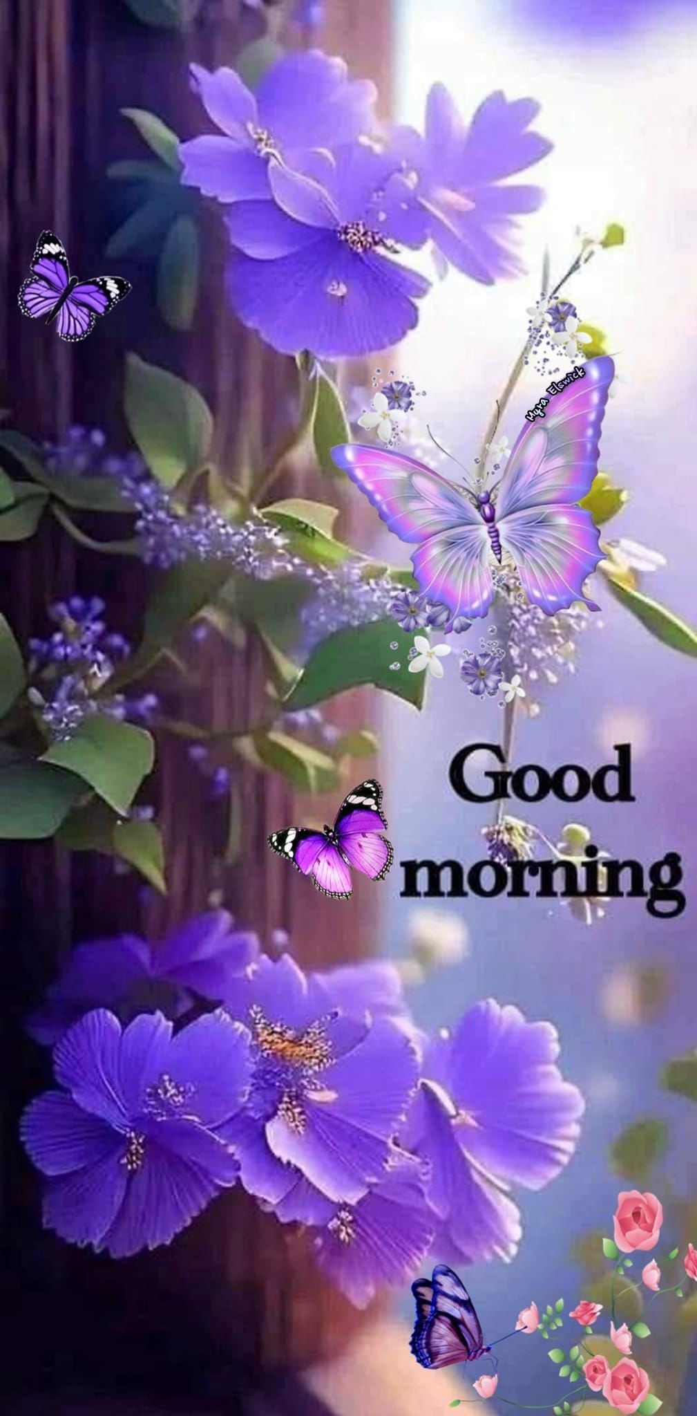 Good Morning Butterflies Pictures, Photos, and Images for Facebook