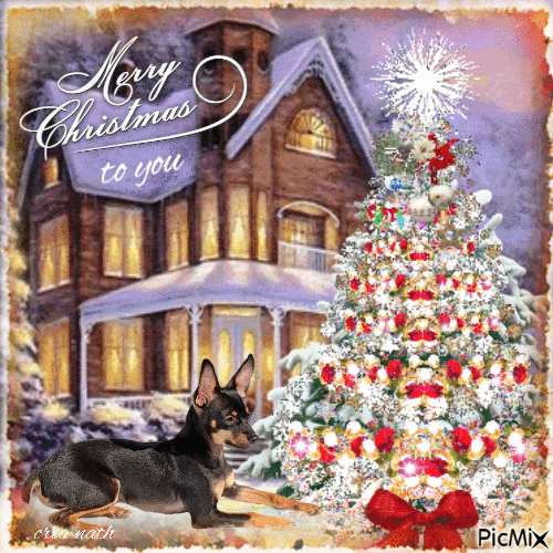 Christmas Tree & Dog Merry Christmas To You Pictures, Photos, and