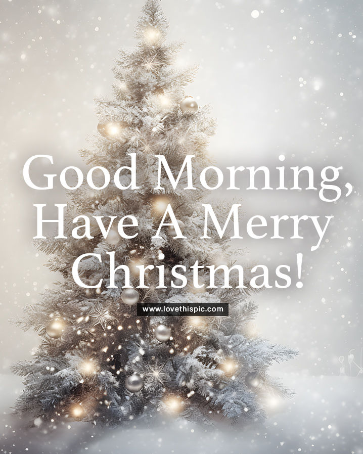 White Christmas Tree Good Morning Christmas Greeting Pictures, Photos