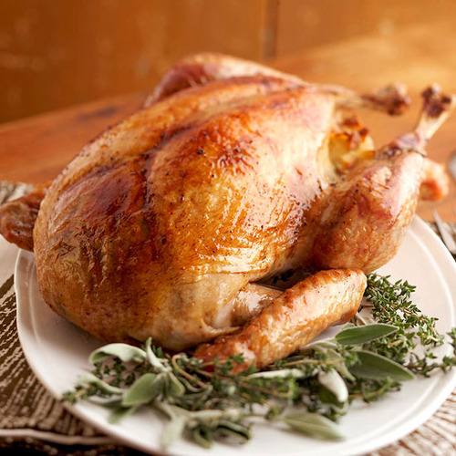 Thanksgiving turkey Thanksgiving turkey