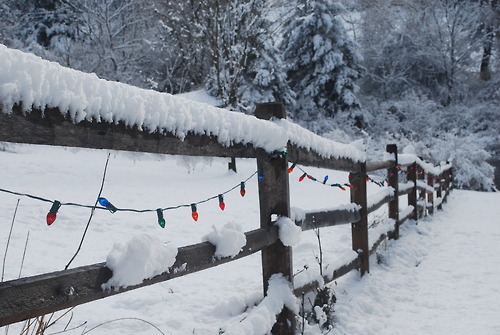 Outdoor Christmas lights Outdoor Christmas lights