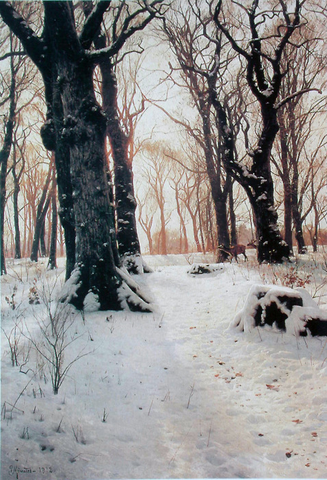 Snowy trees Snowy trees
