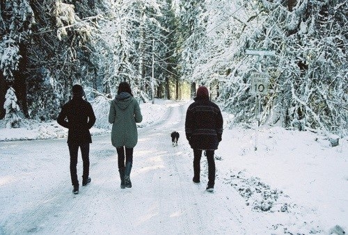 On the snowy path On the snowy path