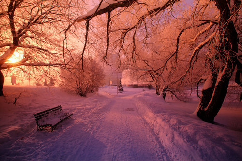 Colorful winter day