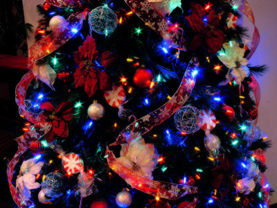 Decorated christmas tree Decorated christmas tree