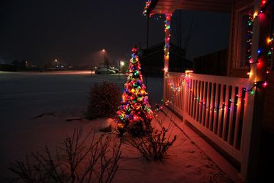 Small christmas tree outside Small christmas tree outside