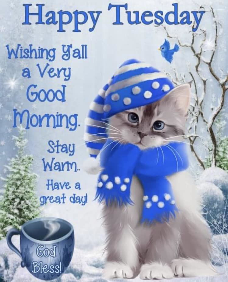 Wishing Y'all A Very Good Morning, Happy Tuesday Pictures, Photos, and
