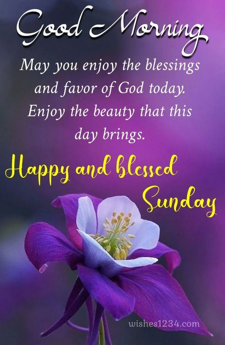 Good Morning Friends, Wish You All Blessed \u0026 Happy Sunday! Pictures,  Photos, and Images for Facebook, Tumblr, Pinterest, and Twitter, image size:736x1131
