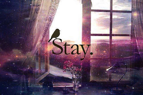 Stay Stay