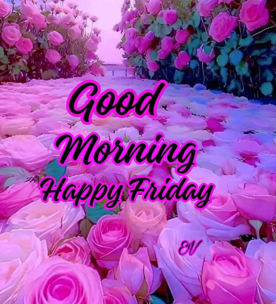 Good Morning Happy Friday Purple Flowers Fields Pictures, Photos, and  Images for Facebook, Tumblr, Pinterest, and Twitter, image size:903x994