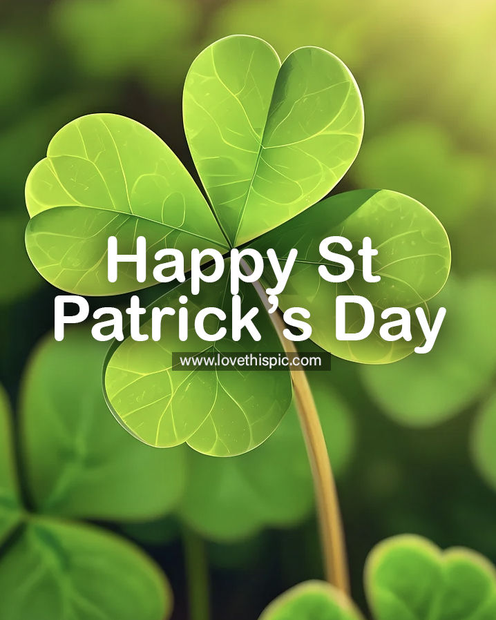 Green Clover Happy St Patrick's Day Image Pictures, Photos, and Images ...