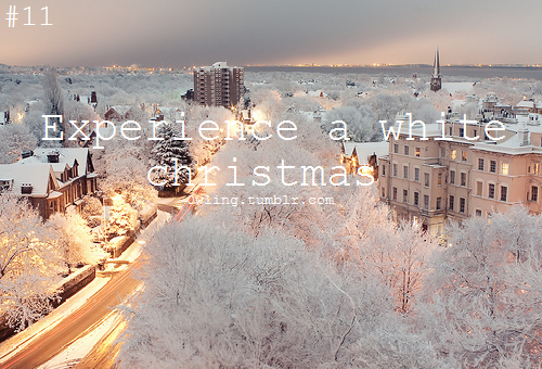 Experience a white christmas