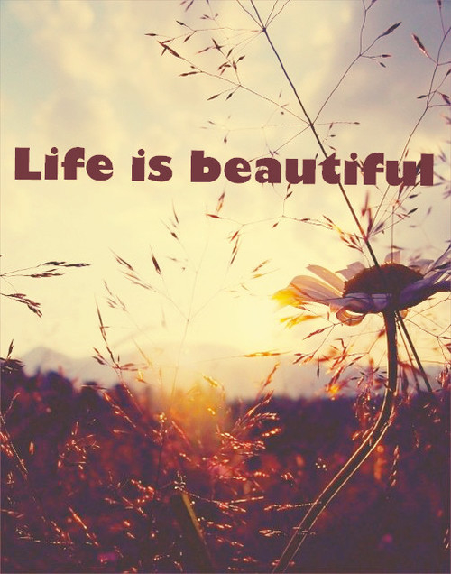 Life is beautiful
