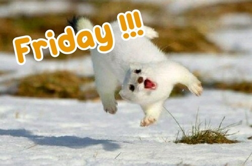 Friday! Friday!