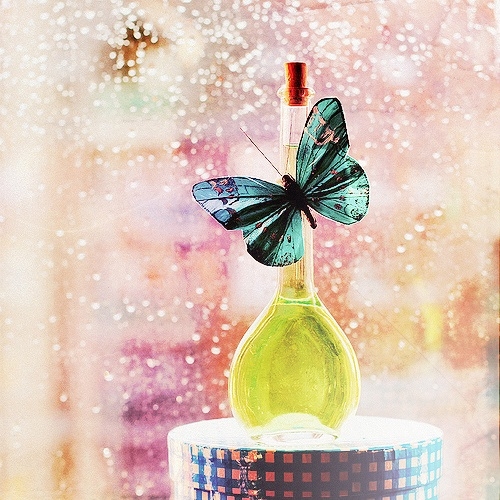 Butterfly bokeh Butterfly bokeh