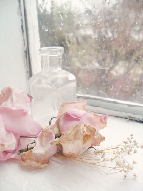 Pink flowers and raindrops