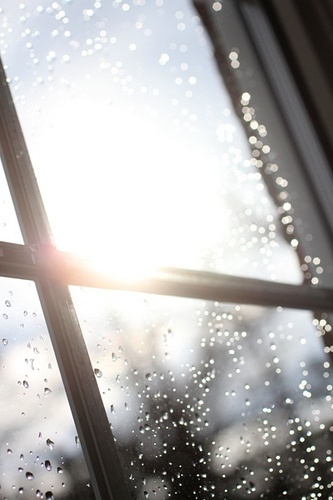 Wet window glare