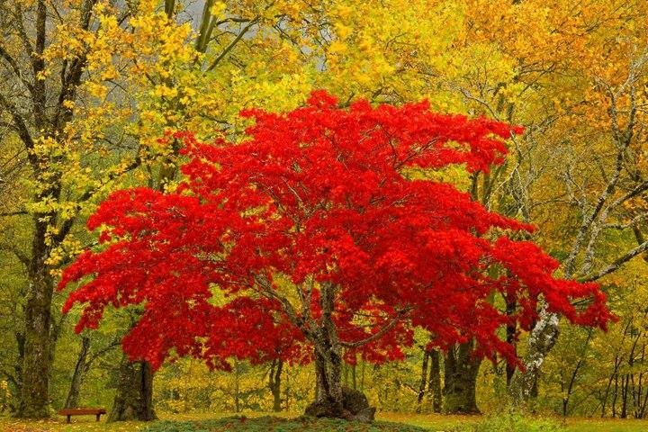 The Beauty Of Nature!!
