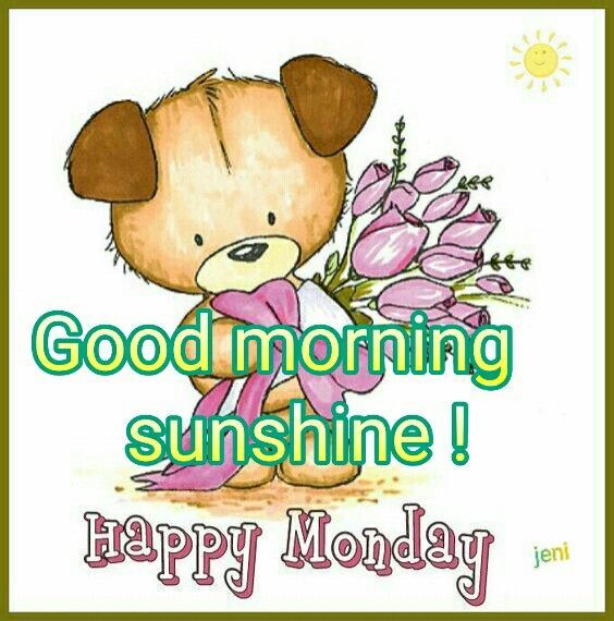 Good Morning Sunshine Happy Monday