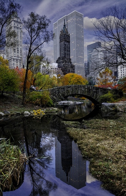 Central Park view Central Park view