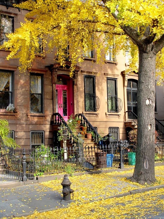 Brooklyn in Autumn