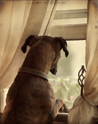 Waiting for master