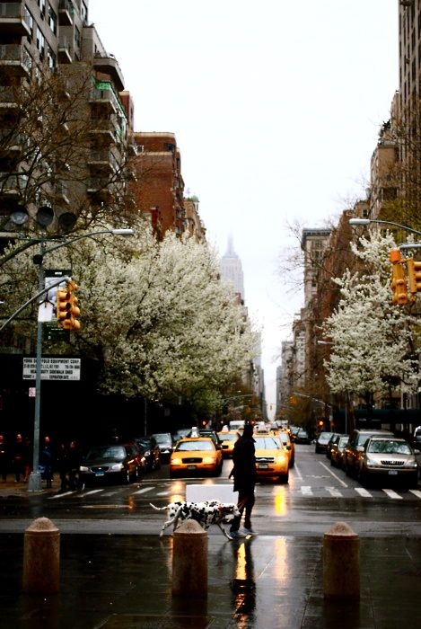 Wet day in the city