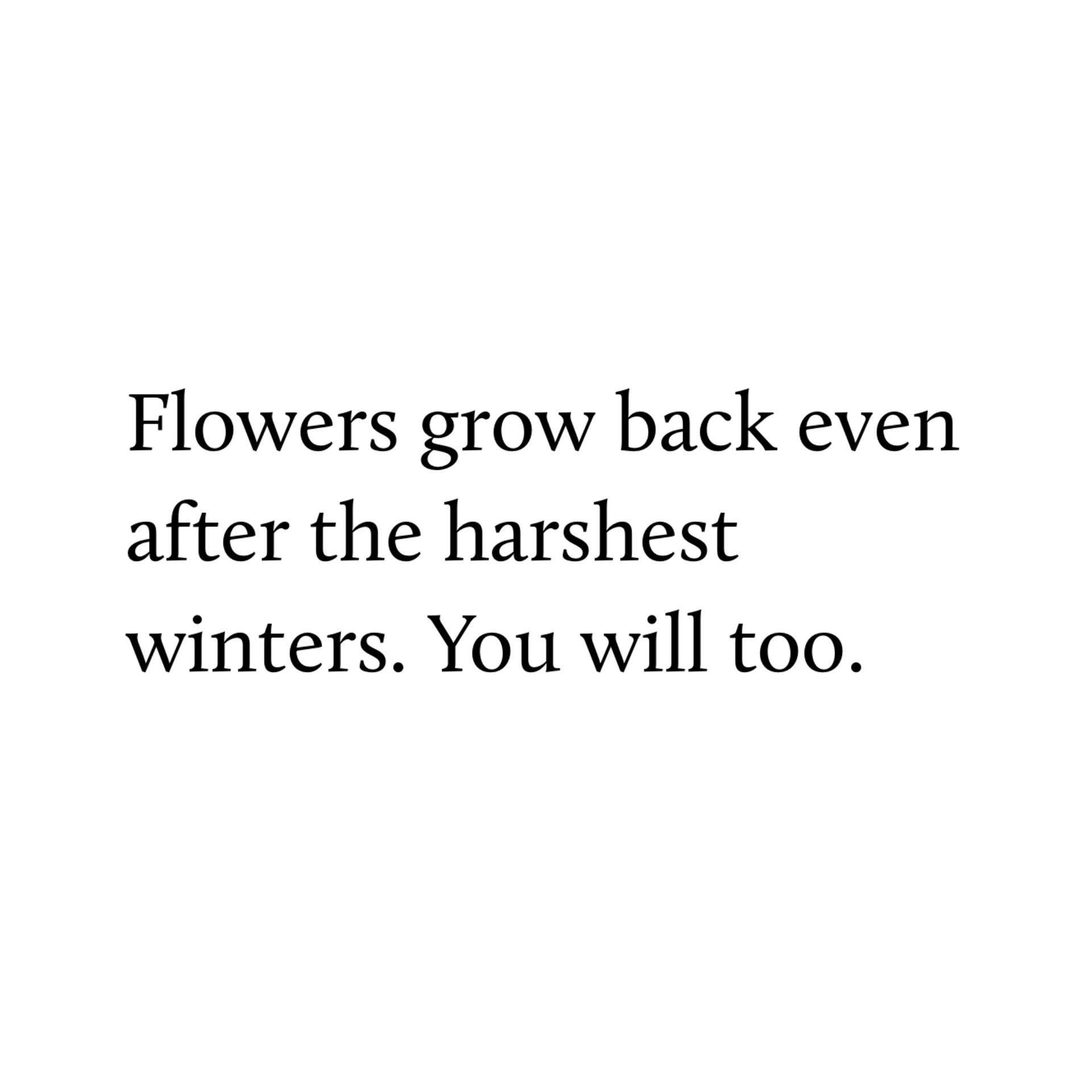 Flowers Grow Back Even After The Harshest Winters. You Will Too
