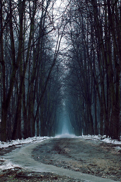 Dark and misty shadows Dark and misty shadows