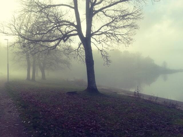 The fog rolling in