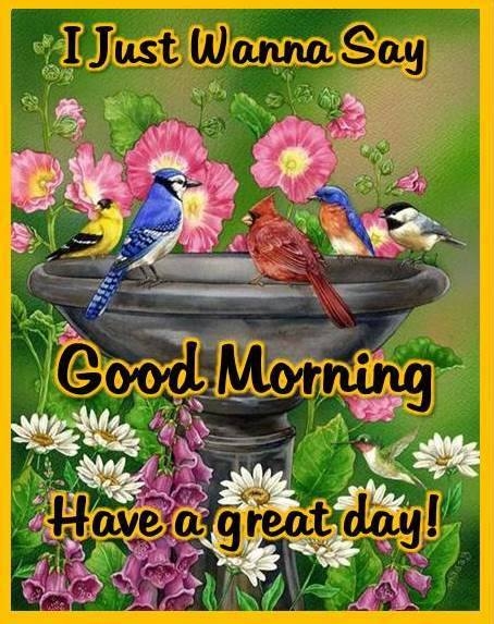 good morning good morning