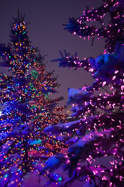 Outdoor Christmas lights