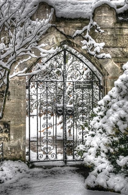 Snow covered gate