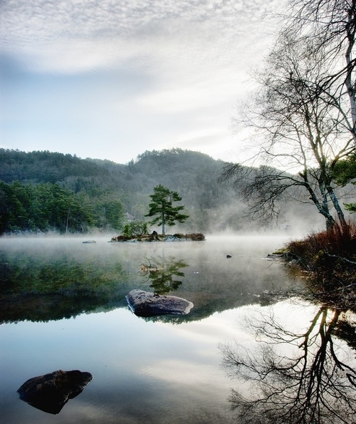 A misty fog