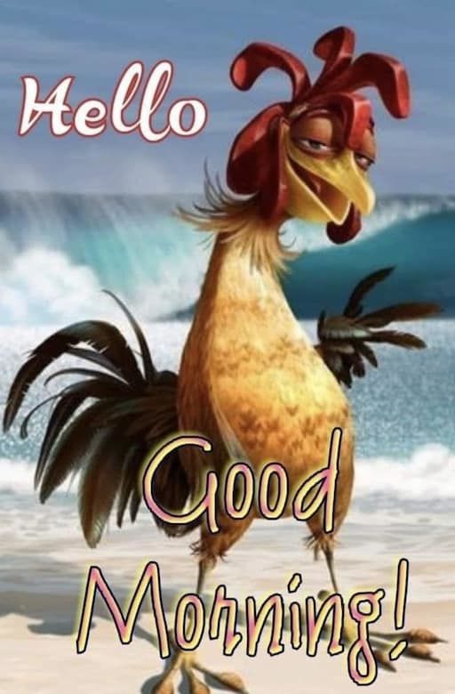 Fun Morning Hello Hello, Good Morning! Pictures, Photos, and Images for Facebook, Tumblr ...