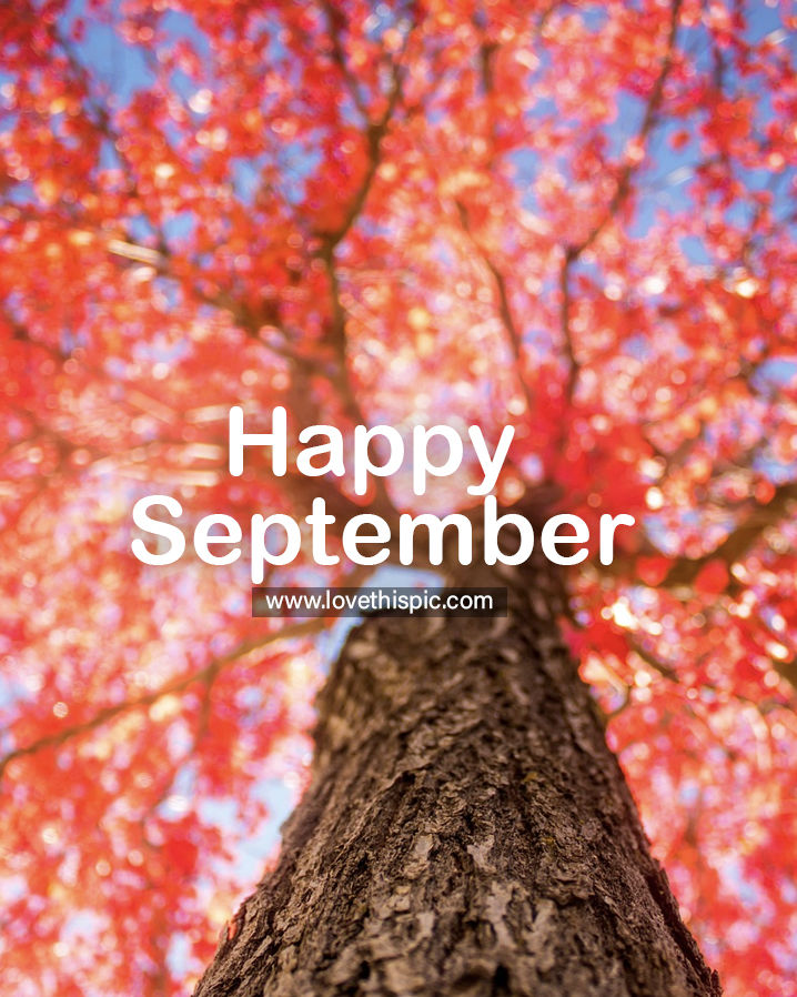 Tree Trunk Happy September Quote Pictures, Photos, and Images for ...