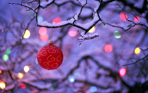 Single christmas ornament