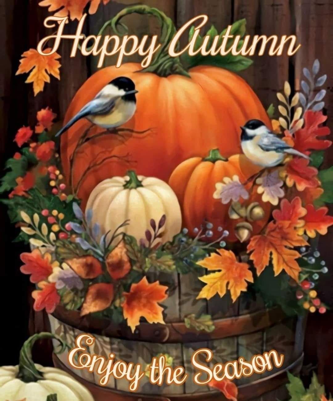 Birds And Pumpkins - Happy Autumn Pictures, Photos, and Images for ...