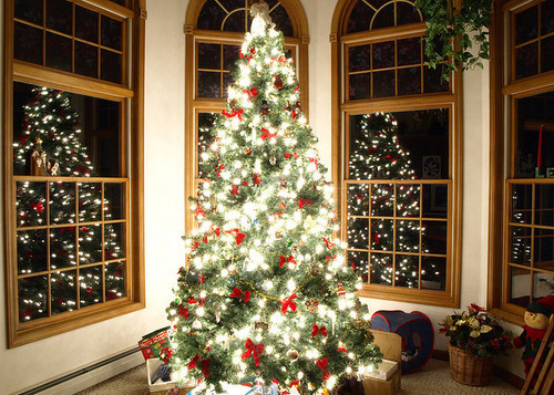 Bright christmas tree