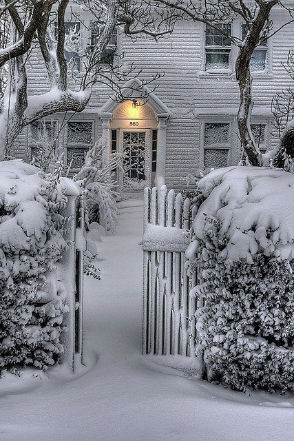 Snowy winter