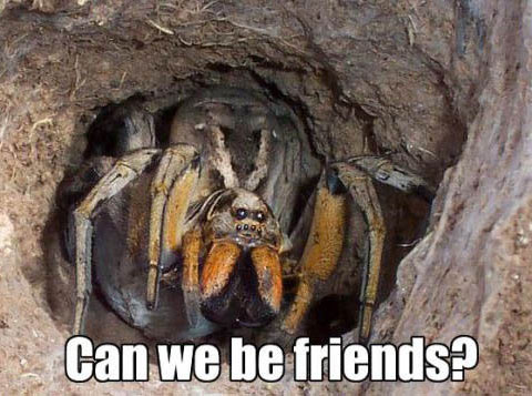 Can we be friends? Can we be friends?